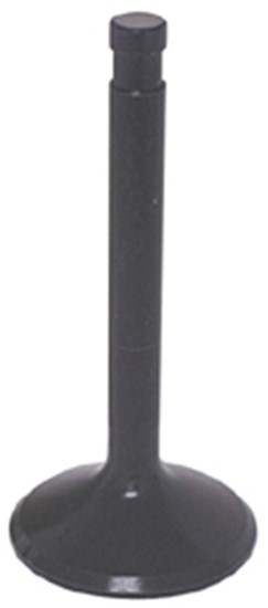 BLACK DIAMOND INTAKE VALVE